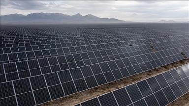 Global solar set for record year after 64% growth in first half of 2025