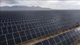 Global solar set for record year after 64% growth in first half of 2025