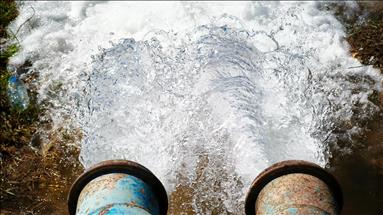 Dicle Elektrik: Güneydoğu'da izinsiz mısır ekimi bölgedeki enerji sorununu tetikliyor