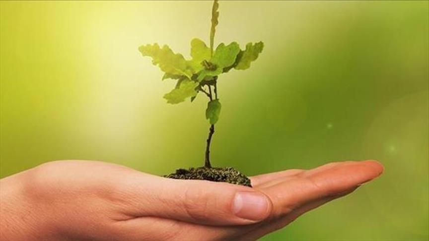 Binalarda Enerji Verimliliği Proje Yarışması'nın kazananları belli oldu