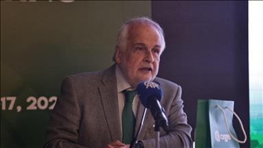 Türkiye küresel enerji dönüşümünde enterkonneksiyonlarla kritik rol oynayacak