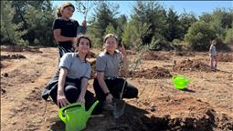 Yeniköy Kemerköy Enerji 300 zeytin fidanını toprakla buluşturdu
