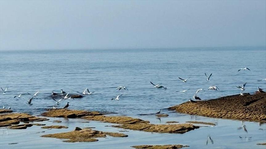 Caspian Sea faces alarming decline in water levels and biodiversity