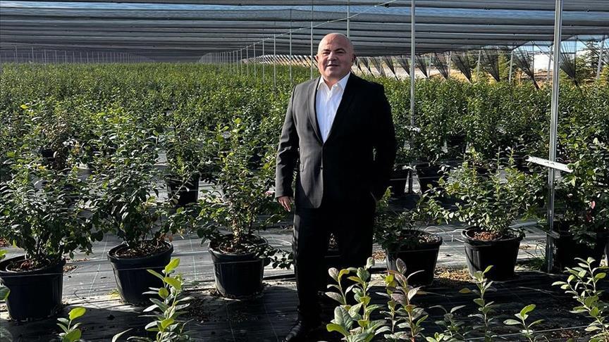 Atıklardan elde edilen enerji Ankara'da "yaban mersini" yetişmesini sağladı