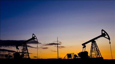 Russia's oil supplies to India remain high