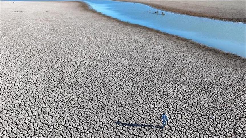 Most countries fall short on updated climate plans: UN report