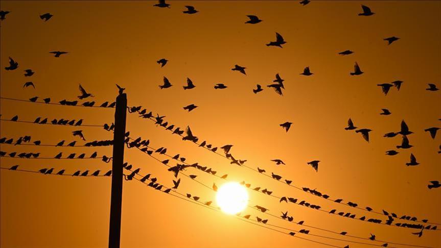 Türkiye's daily power consumption up 12% on Oct. 30