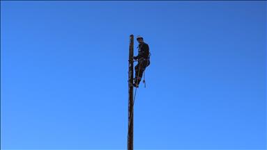 Fırat EDAŞ Bingöl'de planlı bakım çalışmalarıyla şebekeyi güçlendirdi