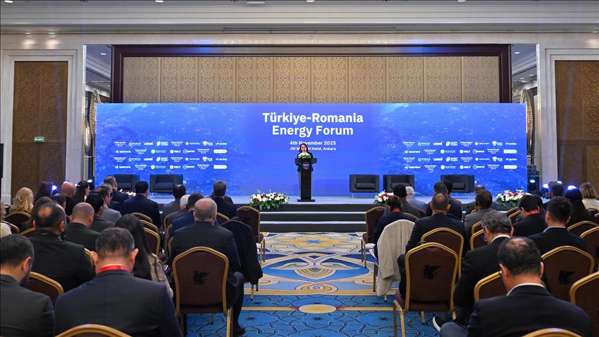 Türkiye-Romanya Enerji Forumu'nda enerjide yatırım fırsatları görüşüldü