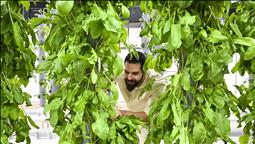 Topraksız dikey tarım uygulamaları enerjide tasarruf ve yüksek verimlilikle geleceğe umut oluyor