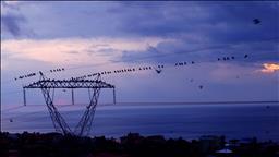 Spot piyasada elektrik fiyatları