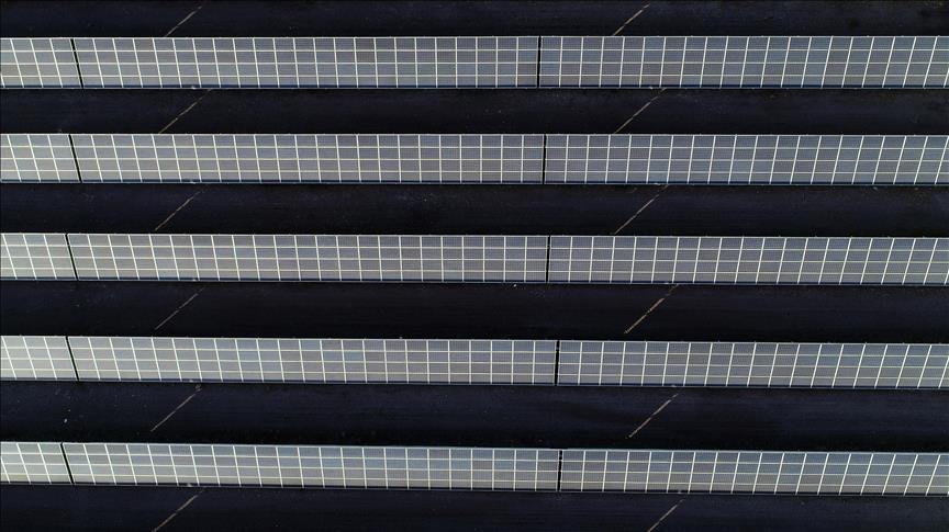 Spot market electricity prices for Wednesday, Nov. 12