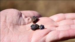 Kritik minerallerde arz güvenliği endişeleri küresel tedarik zincirini tehdit ediyor