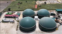 Edirne'de köye kurulan tesiste bitkisel ve hayvansal atıklar elektriğe dönüşüyor