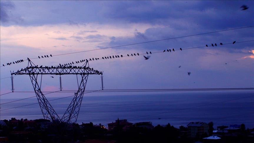 Spot piyasada elektrik fiyatları