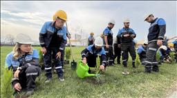 Eti Bakır, Milli Ağaçlandırma Günü'nde 41 bin fidanı toprakla buluşturdu