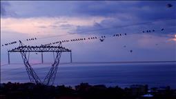 Spot piyasada elektrik fiyatları