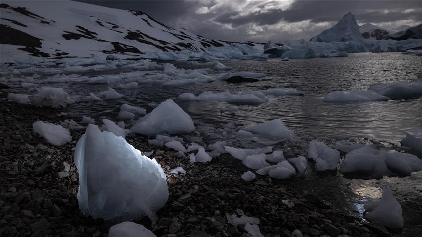 Putin: "Rusya'nın Arktik'teki konumunu güçlendirmeliyiz"