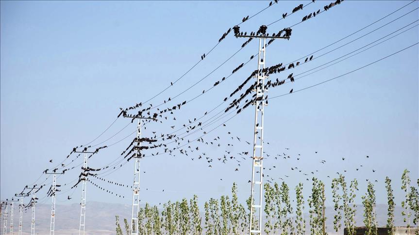 Türkiye's daily power consumption up 1.55% on Nov. 18