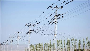 Türkiye's daily power consumption up 1.55% on Nov. 18