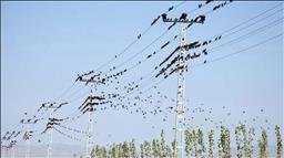 Günlük elektrik üretim ve tüketim verileri