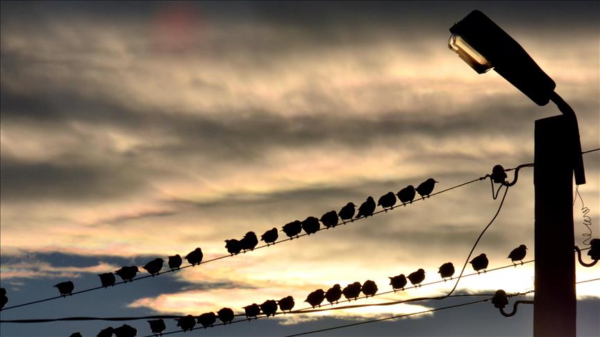 Günlük elektrik üretim ve tüketim verileri