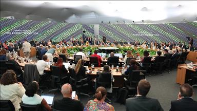 Global political environment slows climate action by constraining finance, says expert