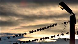 Spot piyasada elektrik fiyatları