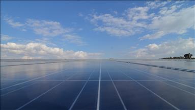 Spot market electricity prices for Wednesday, Nov. 26