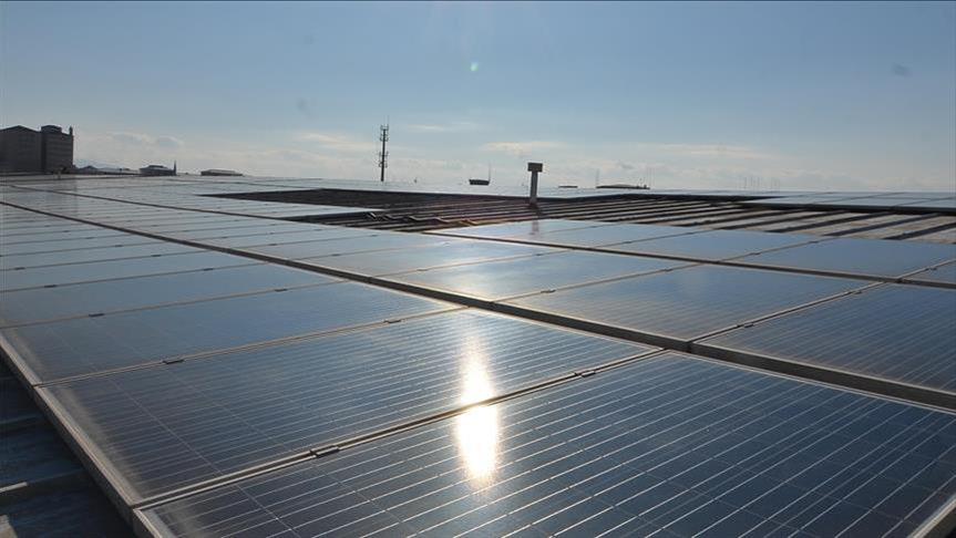 Spot market electricity prices for Sunday, Dec. 7