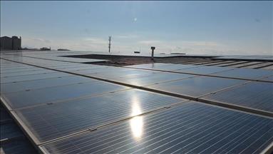 Spot market electricity prices for Sunday, Dec. 7