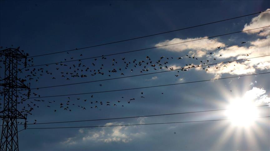 Spot piyasada elektrik fiyatları