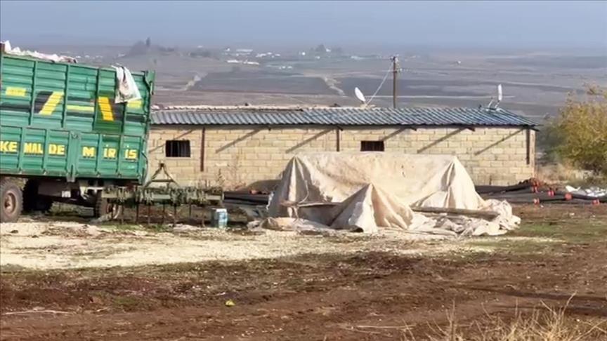 Ahır görünümünde tesis kurup kaçak elektrikle kripto para imal etmişler