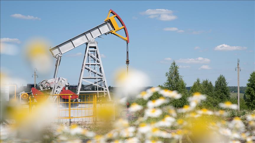 OPEC crude oil production down 1,000 barrels per day in November