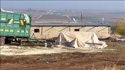 Ahır görünümünde tesis kurup kaçak elektrikle kripto para imal etmişler