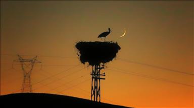 Türkiye's daily power consumption up 1.6% on Jan. 6