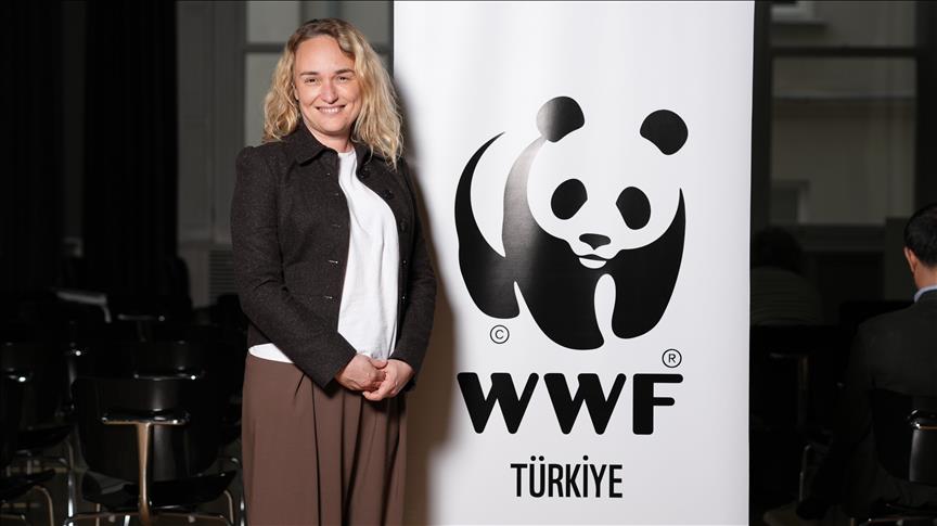 WWF-Türkiye, 2026'da Türkiye'nin iklim hedeflerine bilimsel katkı sunacak