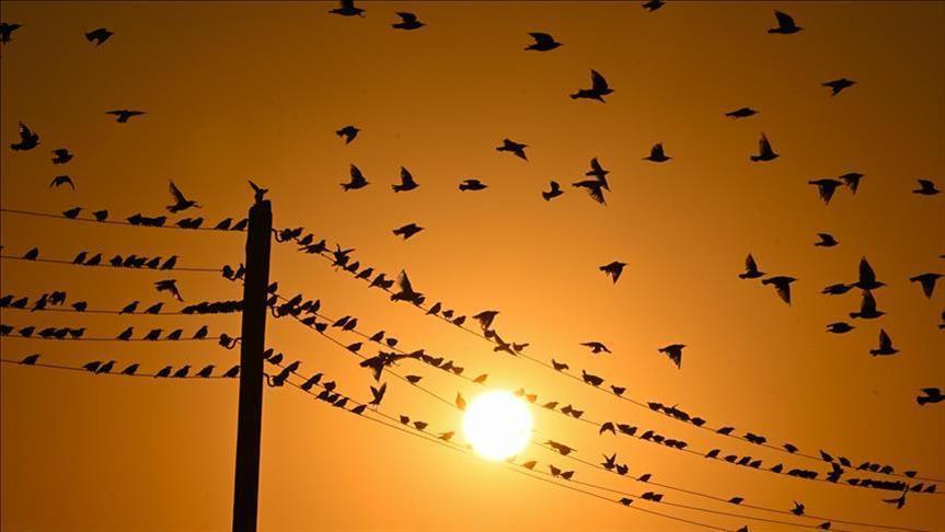 Türkiye's daily power consumption up 2% on Jan. 20