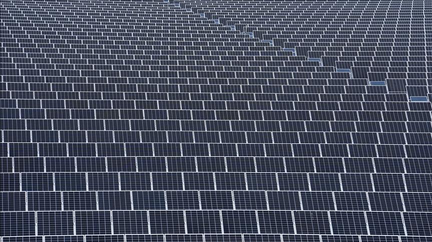 Spot market electricity prices for Wednesday, Jan. 28