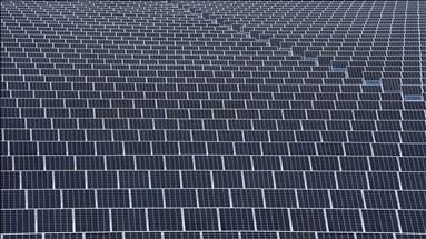 Spot market electricity prices for Wednesday, Jan. 28