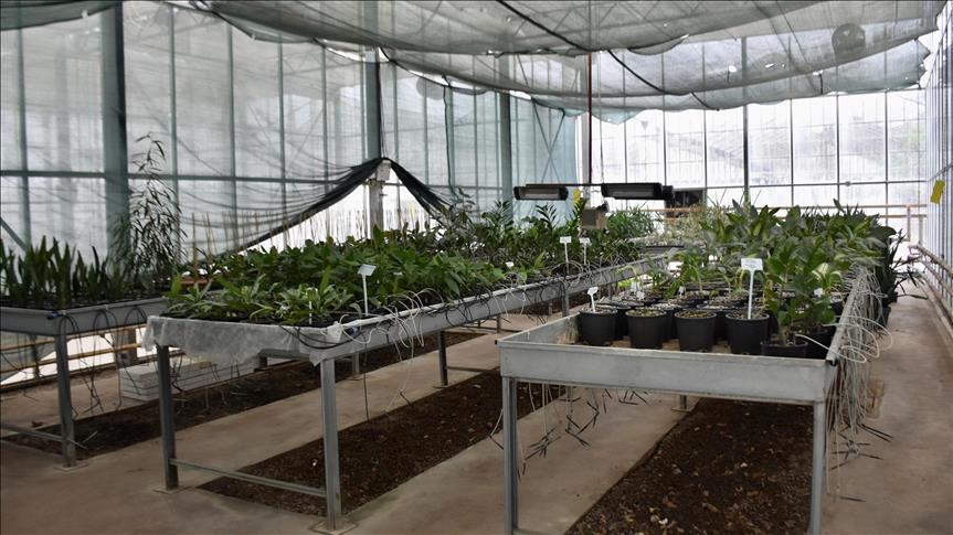 "Seralarda şeffaf panellerle enerji tasarrufu sağlanabilir" önerisi