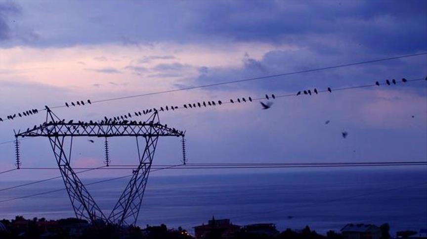 Spot piyasada elektrik fiyatları