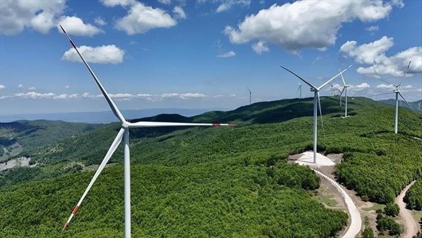 Türkiye's wind power capacity nears 16,000 MW after record growth in 2025