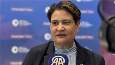 Namibia calls on Turkish investors for long-term partnerships in energy and mining