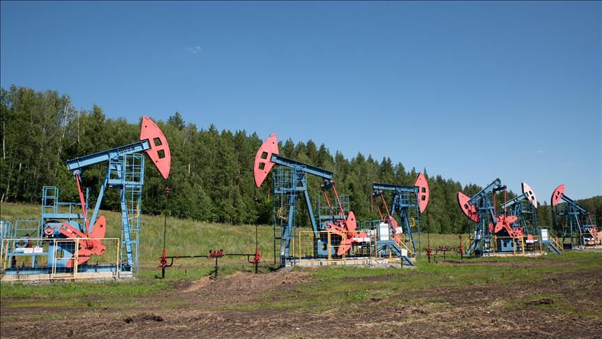 Türkiye's oil imports up 8.2% in Dec. 2025