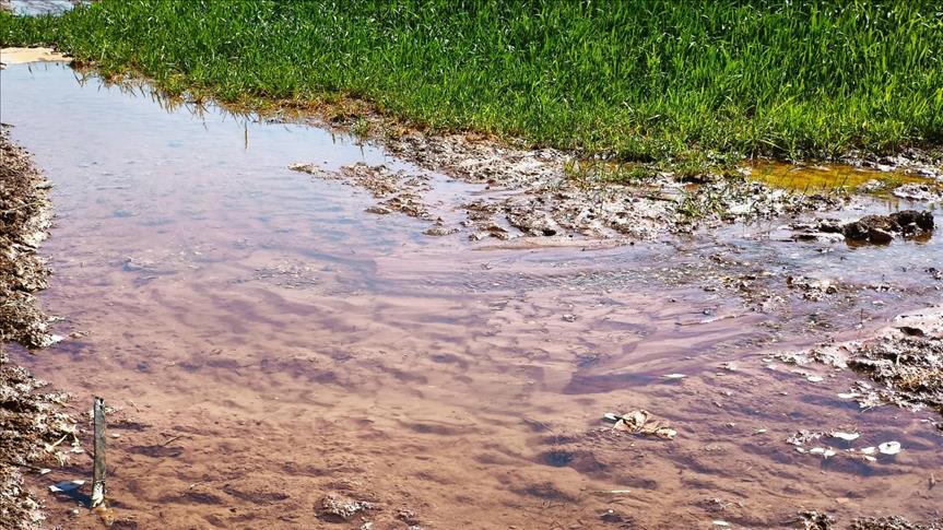 Dicle Elektrik'in dağıtım bölgesinde tarımda kullanılan kaçak elektrik 5 milyar kilovatsaate ulaştı
