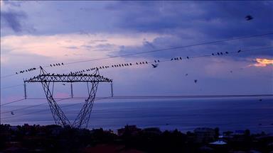 Türkiye's daily power consumption up 3.3% on Feb. 25