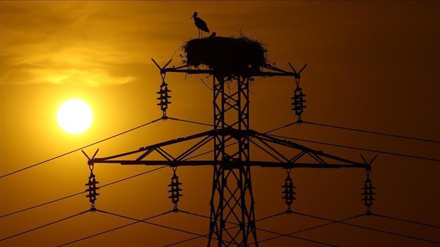 Spot market electricity prices for Sunday, March 1