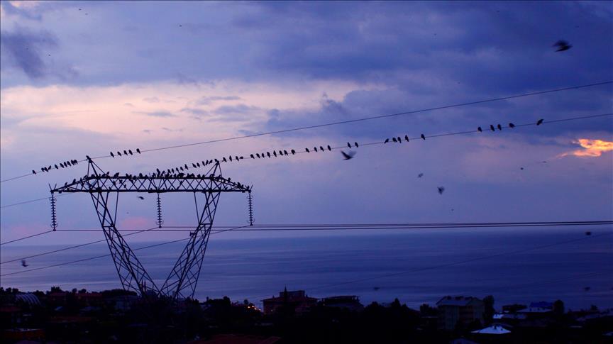 Türkiye's daily power consumption down 0.8% on March 6