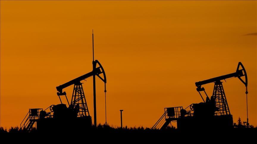 Serbia temporarily bans oil exports to protect domestic market